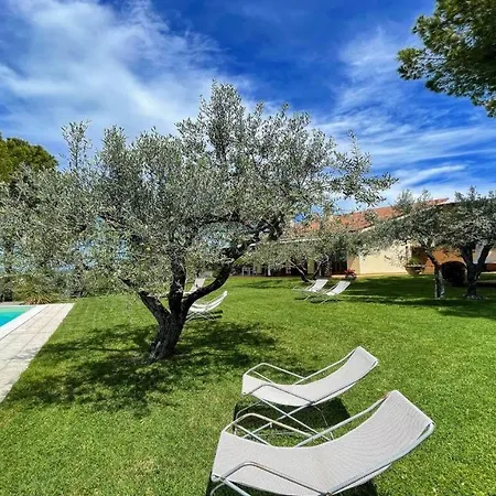 Villa Sole Vino - Nice Pool Fantastic Area Up To 15 Ppl *