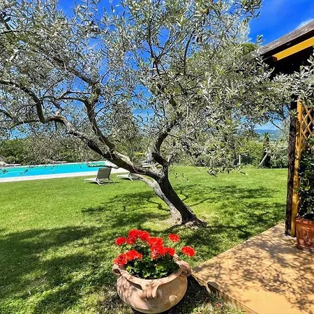 Villa Sole Vino - Nice Pool Fantastic Area Up To 15 Ppl *